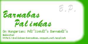 barnabas palinkas business card